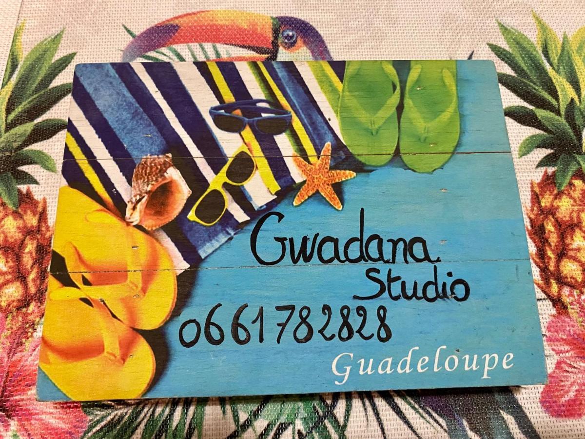 Vue Exclusive Mer Et Volcan, Village Vacances Avec Plage Et Piscine, Les Gwadastudios Sainte-Anne  Luaran gambar