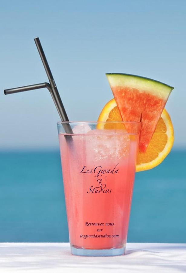 Vue Exclusive Mer Et Volcan, Village Vacances Avec Plage Et Piscine, Les Gwadastudios Sainte-Anne  Luaran gambar