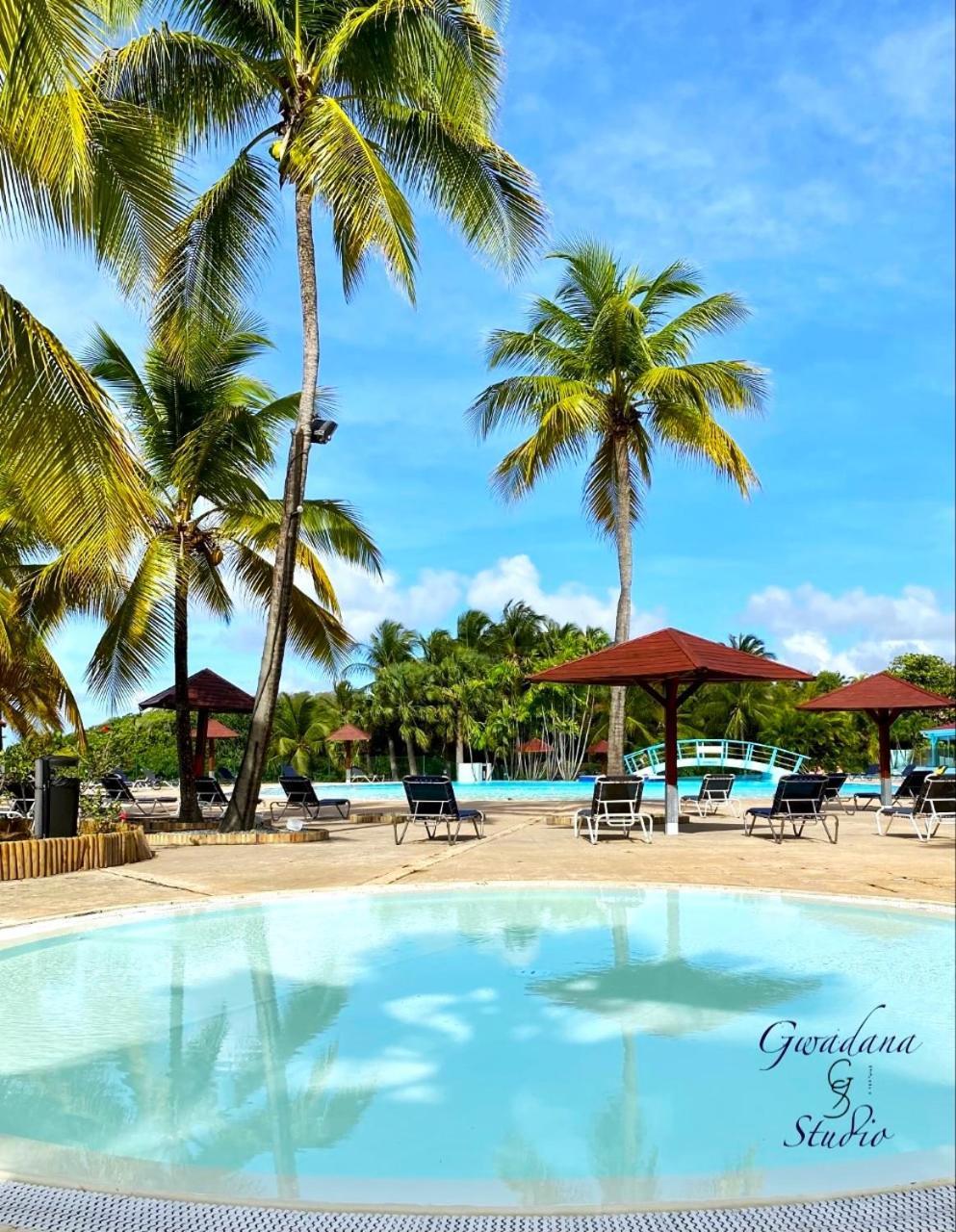 Vue Exclusive Mer Et Volcan, Village Vacances Avec Plage Et Piscine, Les Gwadastudios Sainte-Anne  Luaran gambar